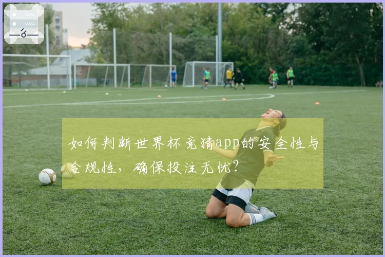 如何判断世界杯竞猜app的安全性与合规性,确保投注无忧?