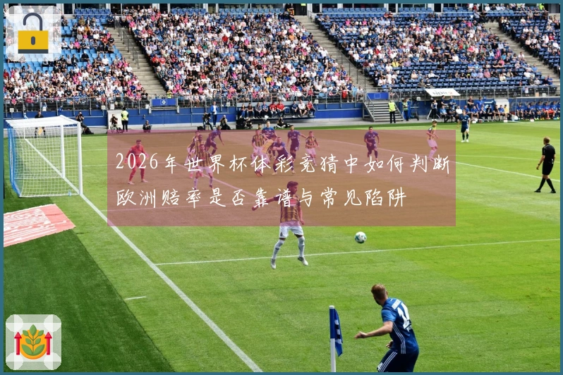 2026年世界杯体彩竞猜中如何判断欧洲赔率是否靠谱与常见陷阱