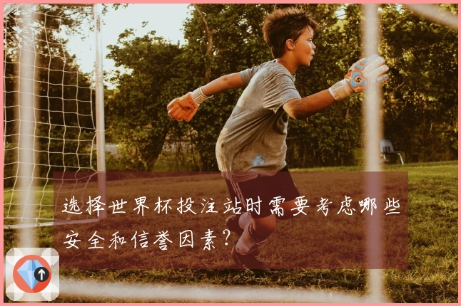 选择世界杯投注站时需要考虑哪些安全和信誉因素？
